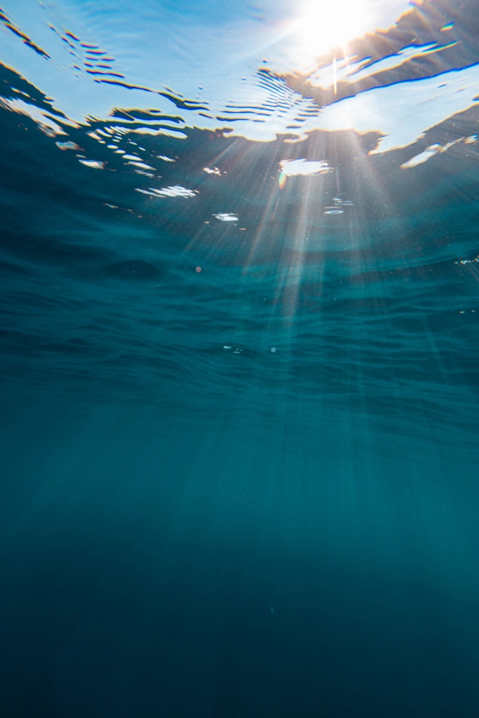 océan, vue aquatique
