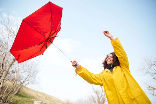 vent dans le parapluie
