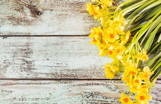 horoscope des vierges avril 2025