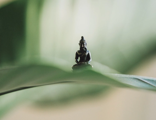 amazonite, une vrai séance de yoga